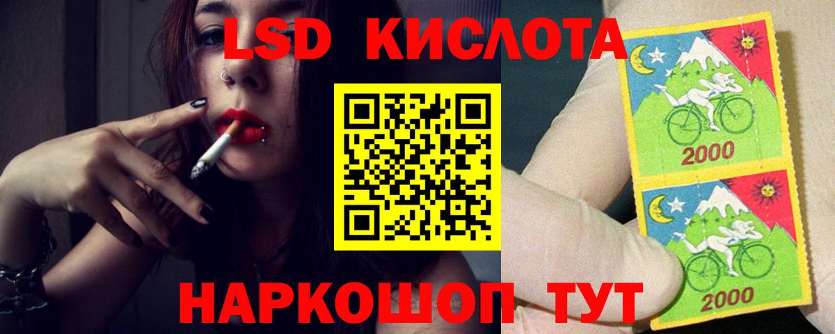 Псилоцибиновые грибы Красный Сулин