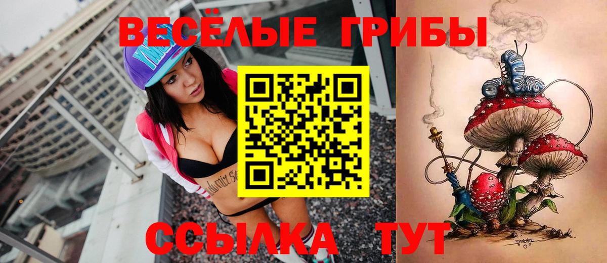Псилоцибиновые грибы мицелий Красный Сулин