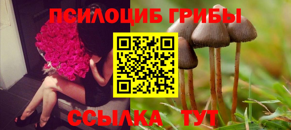 Псилоцибиновые грибы ЛСД  Галлюциногенные грибы Cubensis  Красный Сулин  Вход с VPN 